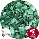 Coloured Sea Shells - Crushed Starburst Aqua - Collect - 8963/12